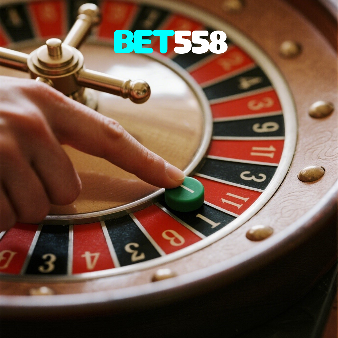 BET558 visual